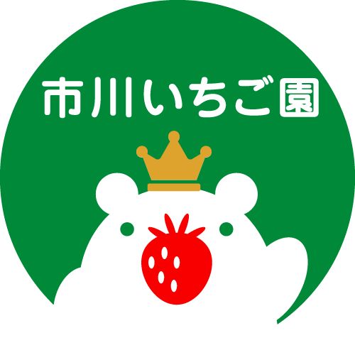 合同会社サクセシオ　ホームページ作成事例「市川いちご園キャラクター」ー合同会社サクセシオ　Web集客＆ホームページ作成